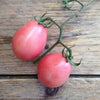 SEMI POMODORI THAI PINK EGG