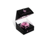 UNIQA SLEEPING LIP MASK