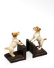 FERMALIBRI JACK RUSSEL
