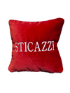 Cuscino "STICAZZI"