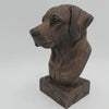 BUSTO DI LABRADOR