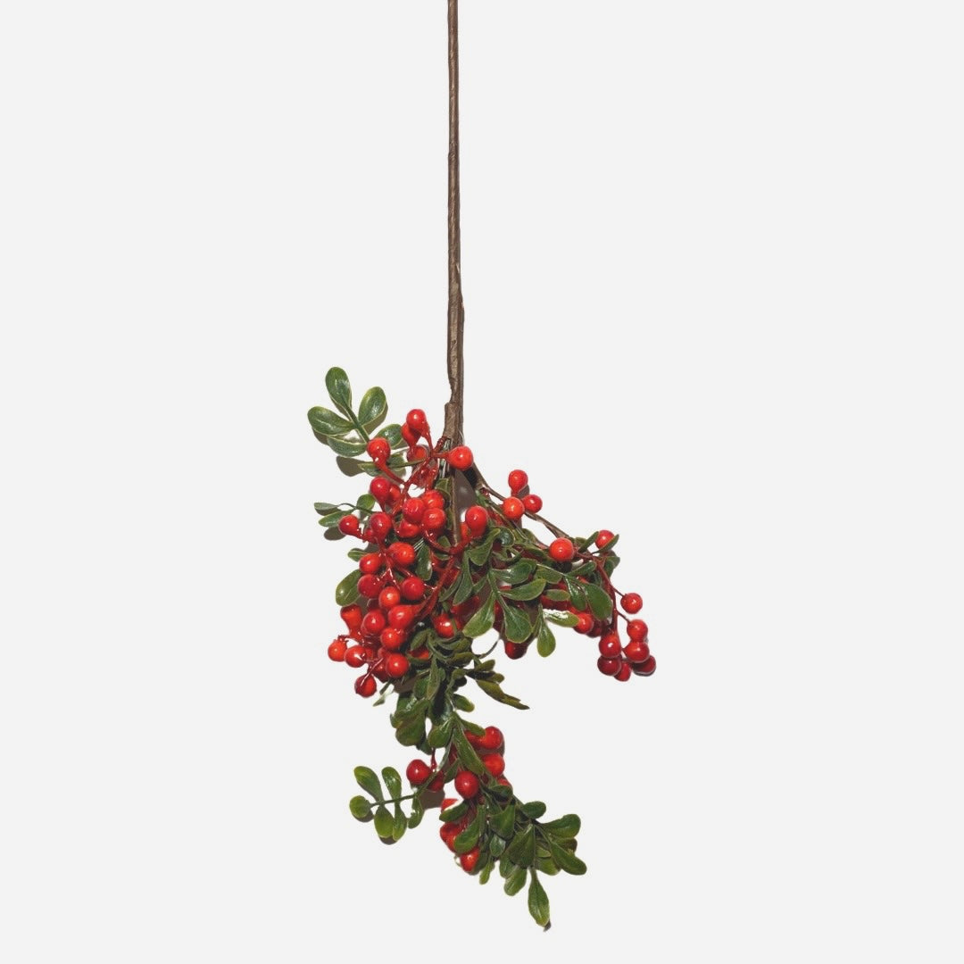 RAMO BACCHE ROSSE