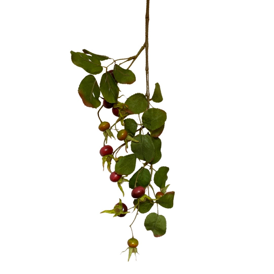 RAMO ROSA CANINA