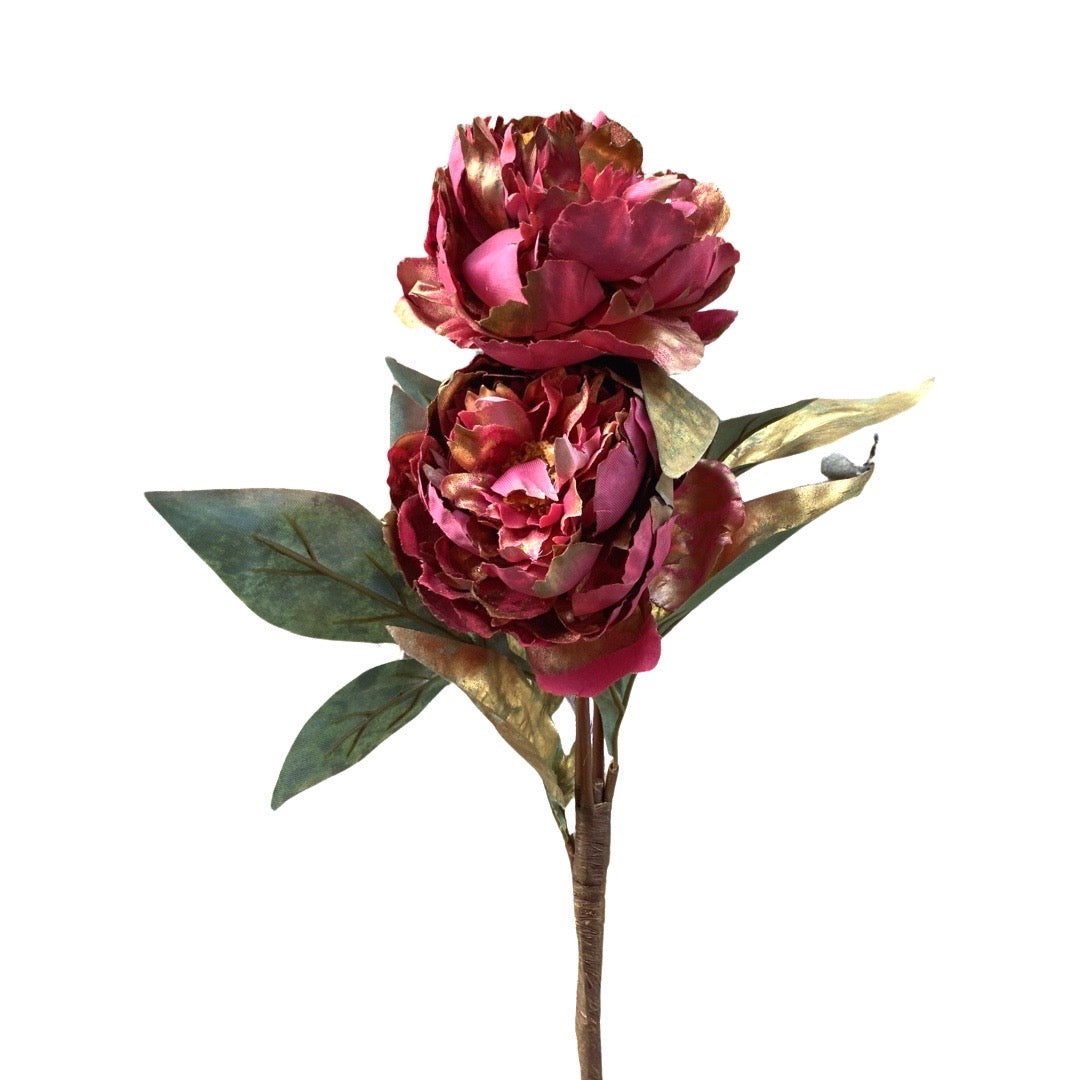 RAMO PEONIA
