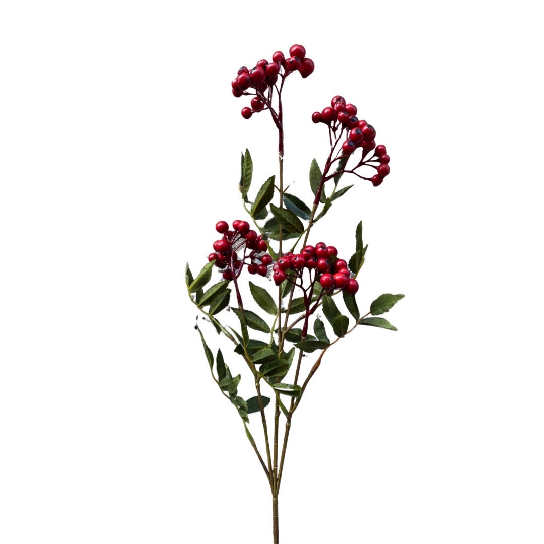RAMO BACCHE ROSSE lungo